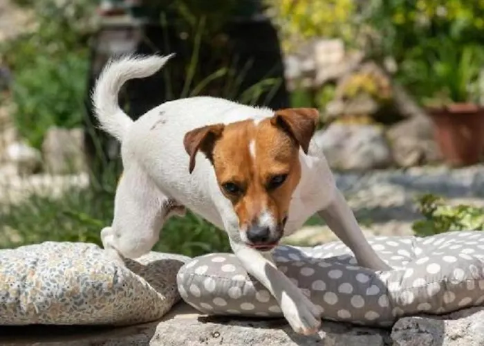 Mario 2 * Πούλα